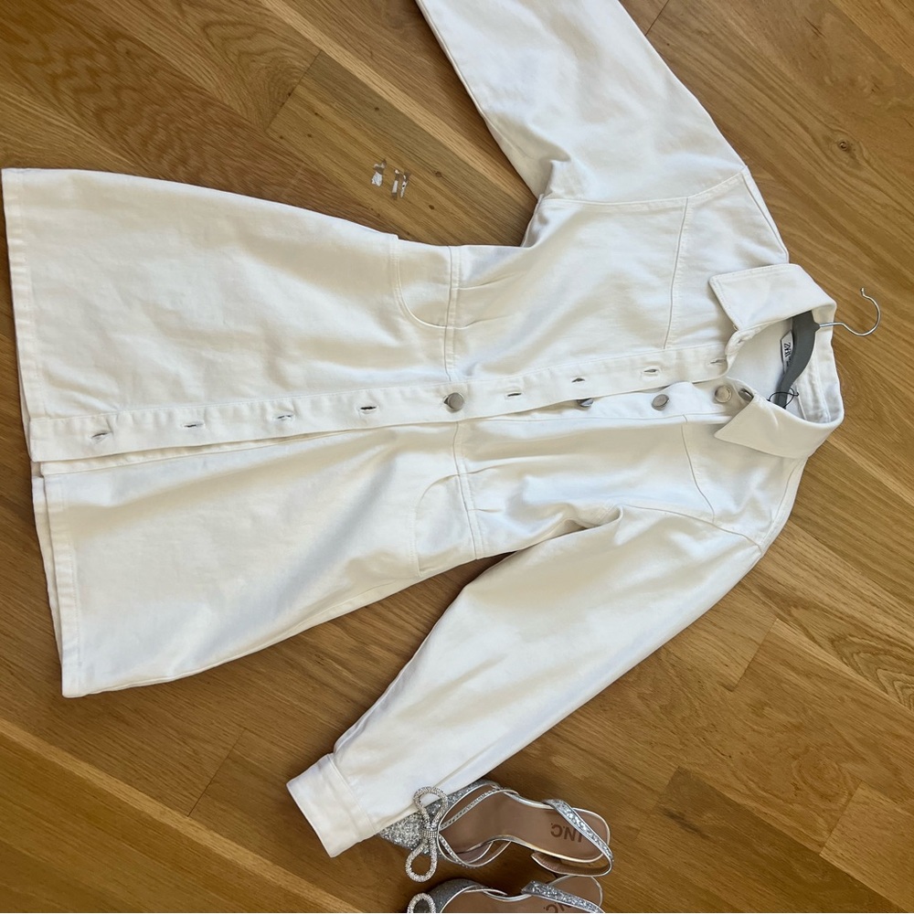 Zara blogger dress - Picture 2 of 3